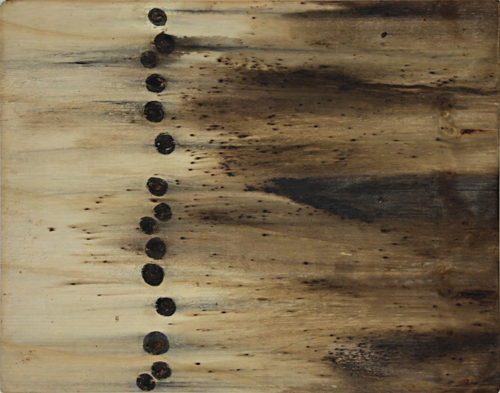 plank1a.jpg